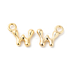 Brass Charms KK-P234-13G-W-1