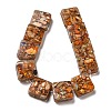 Dyed Natural Imperial Jasper with Resin Beads Strands G-G083-C04-01-2