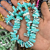 1 Strand Dyed Natural Trochus Shell Beads Strands SSHEL-PA0001-01D-4