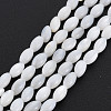 Natural Freshwater Shell Beads Strands SHEL-N027-08A-2