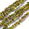 Natural Imperial Jasper Bead Strands G-P444-05-2