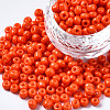 6/0 Glass Seed Beads SEED-S058-A-F264-1