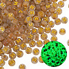 50G Luminous Transparent Acrylic Beads OACR-TAD0001-01M-3