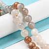 Natural Multi-Moonstone Beads Strands G-P503-10MM-04-3