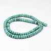 Natural Magnesite Beads Strands TURQ-P027-12-2
