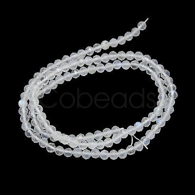 Natural Rainbow Moonstone Beads Strands G-G106-C05-02-1