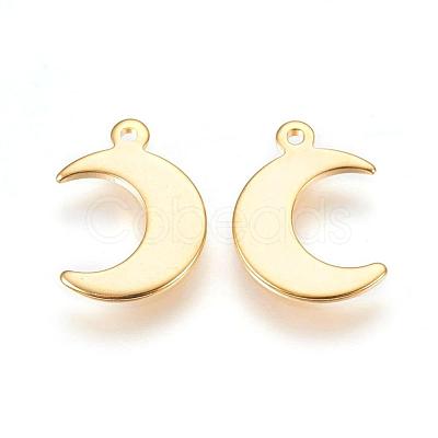 304 Stainless Steel Charms STAS-H557-31G-1