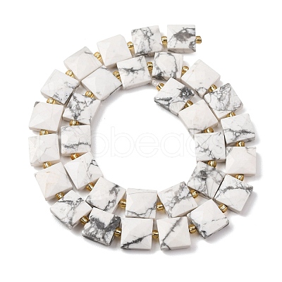 Natural Howlite Beads Strands G-F839-A35-01-1