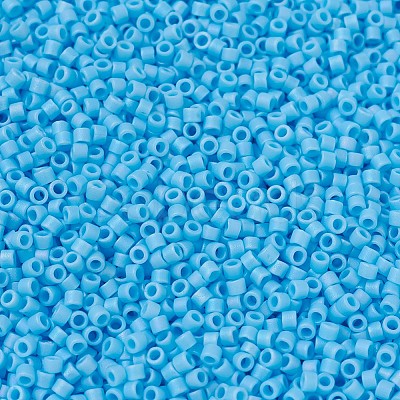 MIYUKI Delica Beads SEED-MY11-DB0879-1