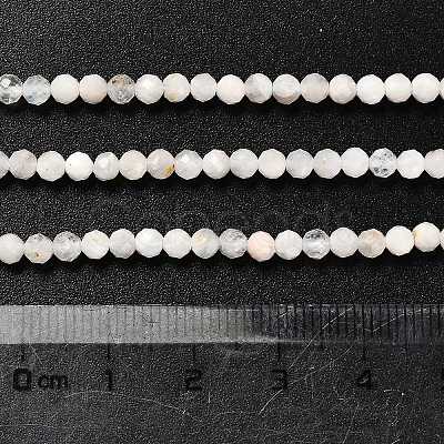 Natural Rainbow Moonstone Beads Strands LS-G-RM2025-31-3mm-1