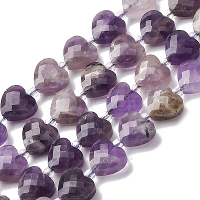 Natural Amethyst Beads Strands G-P570-E17-01-1