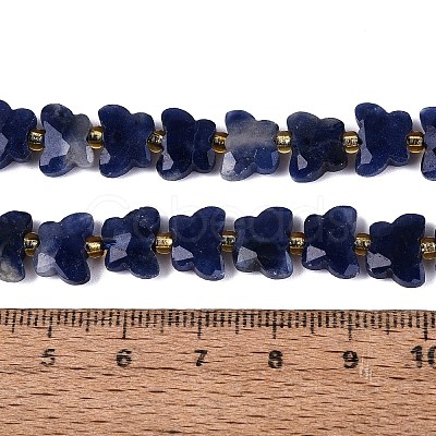 Natural Sodalite Beads Strands G-N371-10A-03-1