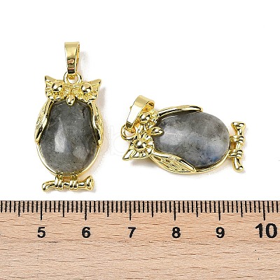 Natural Labradorite Pendant KK-F887-02G-09-1