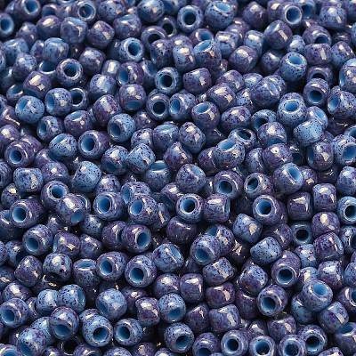 TOHO 6/0 Round Beads SEED-TR06-1204-1