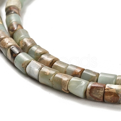Natural Aqua Terra Jasper Beads Strands G-F765-F03-01-1