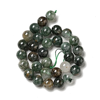 Natural Fuchsite Beads Strands G-K285-40C-1-1