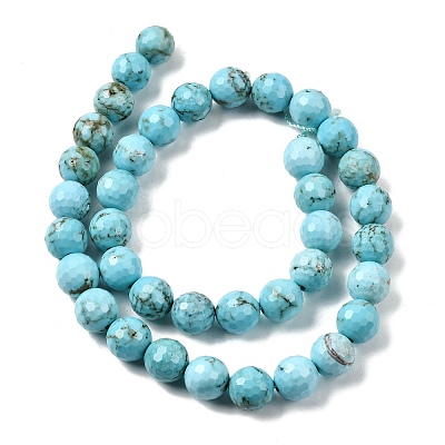Natural Magnesite Beads Strands G-P598-E-10mm-05-1
