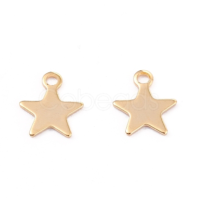 201 Stainless Steel Charms STAS-B001-14A-G-1