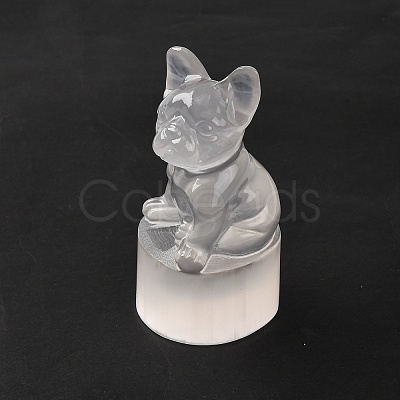 Natural Selenite Figurines DJEW-Q006-01B-1