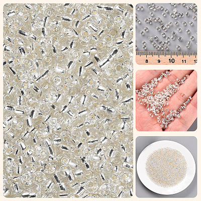 3000Pcs Glass Seed Beads SEED-PA0001-29B-05-1