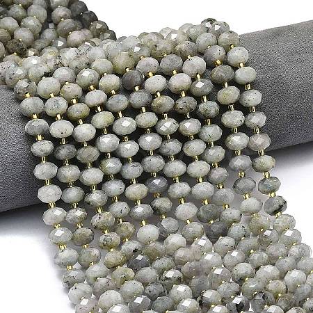 Natural Labradorite Beads Strands G-P573-A55-01-1