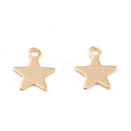 201 Stainless Steel Charms STAS-B001-14A-G-1