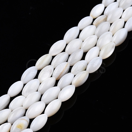 Natural Freshwater Shell Beads Strands SHEL-N026-212-A01-1
