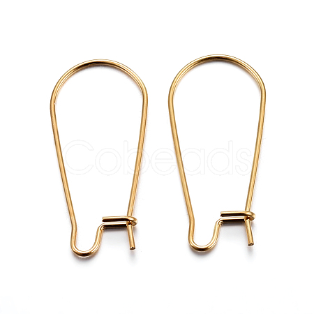 304 Stainless Steel Hoop Earring Findings STAS-P223-01G-05-1