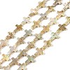 Drawbench Style Natural Freshwater Shell Beads Strands BSHE-G036-01-1