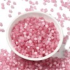 Glass Seed Beads SEED-H002-D-A808-2