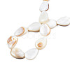 Natural White Shell Beads Strands X-PBB263Y-1-7