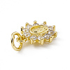 Brass Micro Pave Cubic Zirconia Charms ZIRC-F132-36G-3