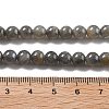 Natural Labradorite Beads Strands LS-G-S333-6mm-035-01-4