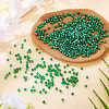Picasso Baking Paint Glass Seed Beads SEED-TA0001-62G-4