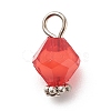 Transparent Acrylic Charms PALLOY-JF01744-2