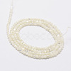 Natural White Shell Beads G-N0190-11-2mm-2