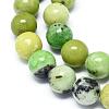 Natural Serpentine Beads Strands G-F576-01-10mm-3
