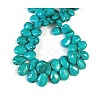 Natural Magnesite Beads Strands TURQ-K003-28B-3