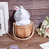 Wooden Apple Flower Baskets with Handle AJEW-GA0009-57-4