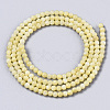 Natural Freshwater Shell Beads Strands BSHE-T009-01E-2