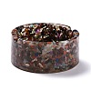 Resin with Natural Mixed Stone Chip Stones Ashtray DJEW-F015-01B-1