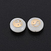 Natural Freshwater Shell Beads SHEL-S278-062-3
