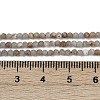 Natural Angelite Beads Strands LS-G-RM2025-A48-A-5