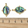 Oval 304 Stainless Steel Natural Paua Shell/White Shell Pendants Ion Plating(IP) STAS-U037-08G-02-3