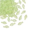 Transparent Acrylic Charms X-TACR-F009-11B-1