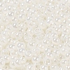Glass Seed Beads SEED-H002-E-A141-3