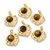 Natural Tiger Eye Pendants KK-M270-42G-1