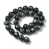 Natural Seraphinite Beads Strands G-C270-O01-13-3