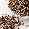 12/0 Glass Seed Beads SDB601-1