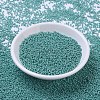MIYUKI Round Rocailles Beads SEED-G007-RR0435-2